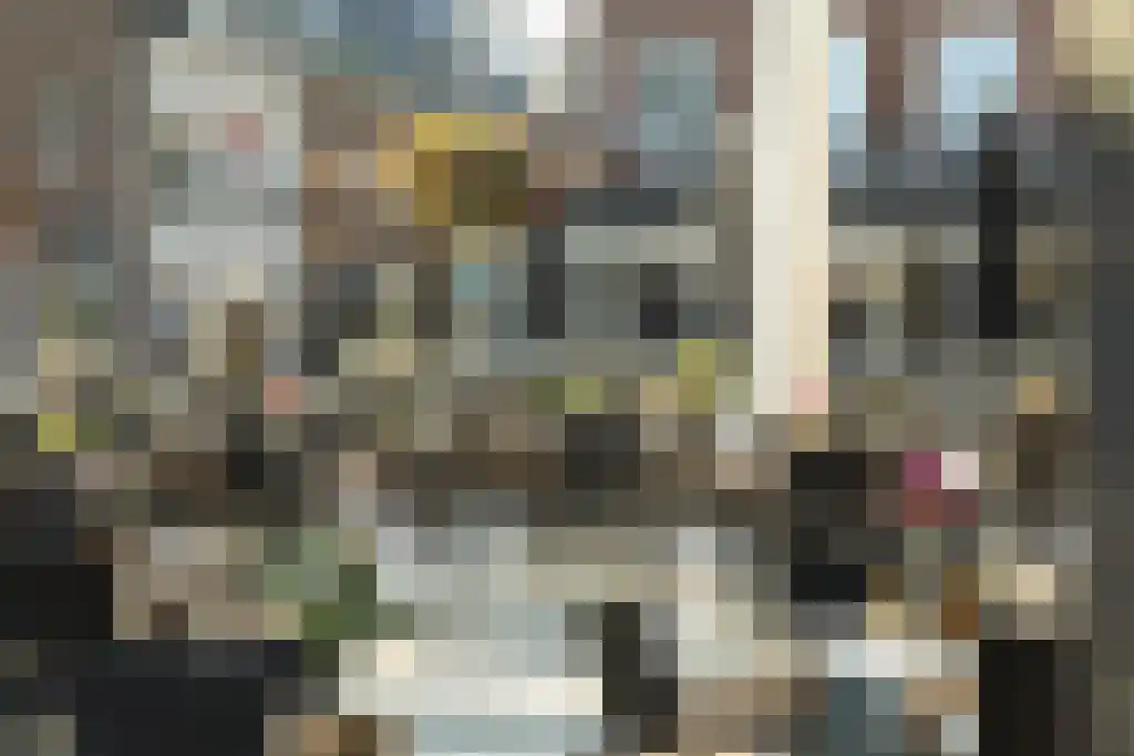 Bloemstraat 2 A Huissen thumbnail 45