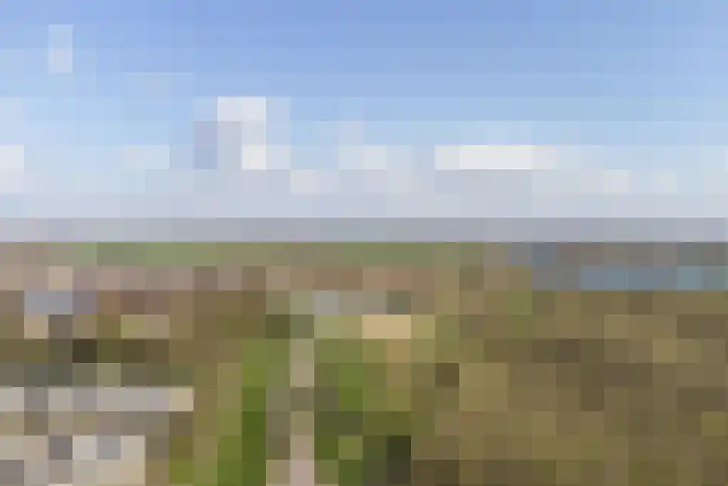 Bloemstraat 2 A Huissen thumbnail 52