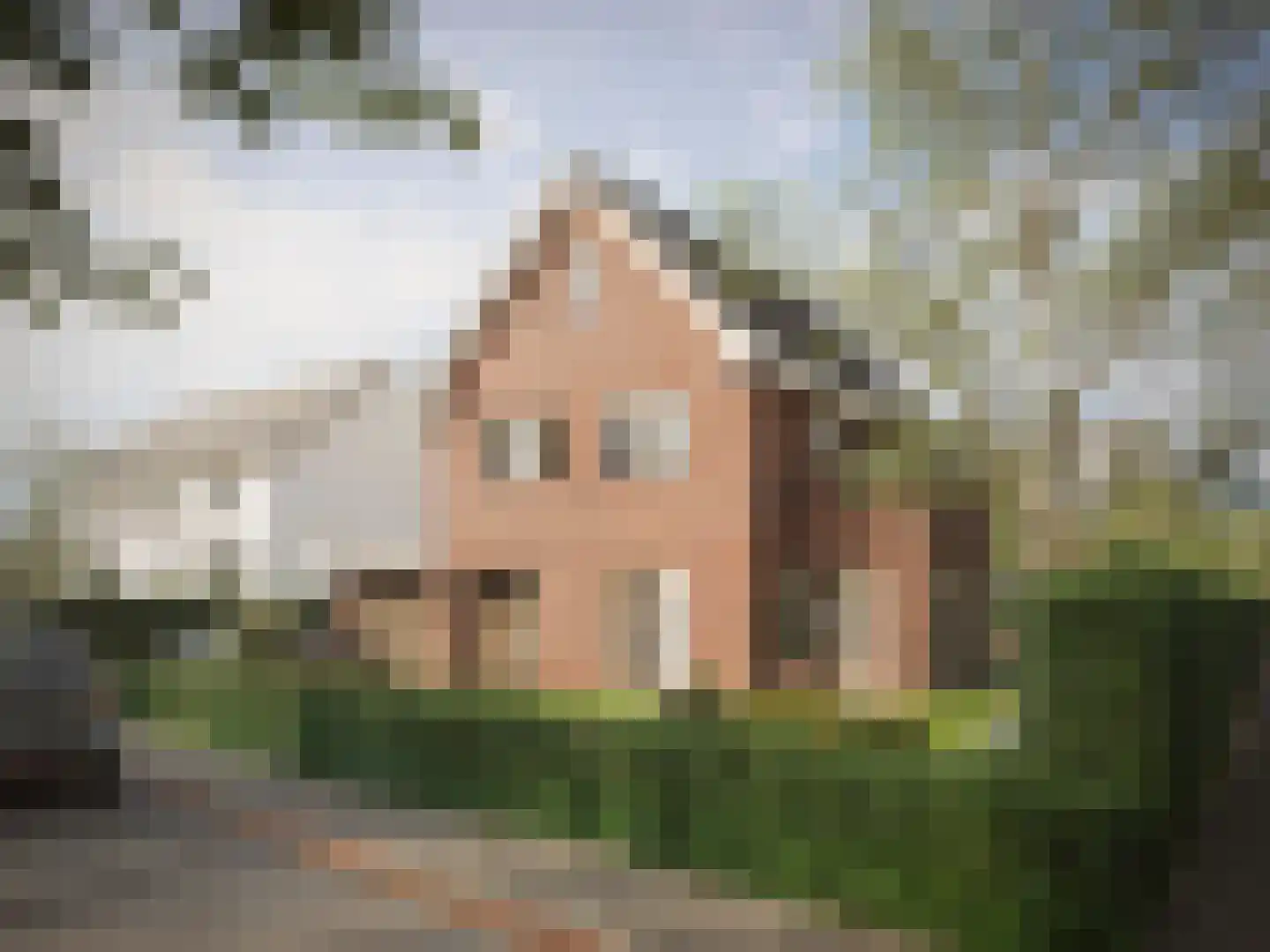 Bloemstraat 2 A Huissen thumbnail 6