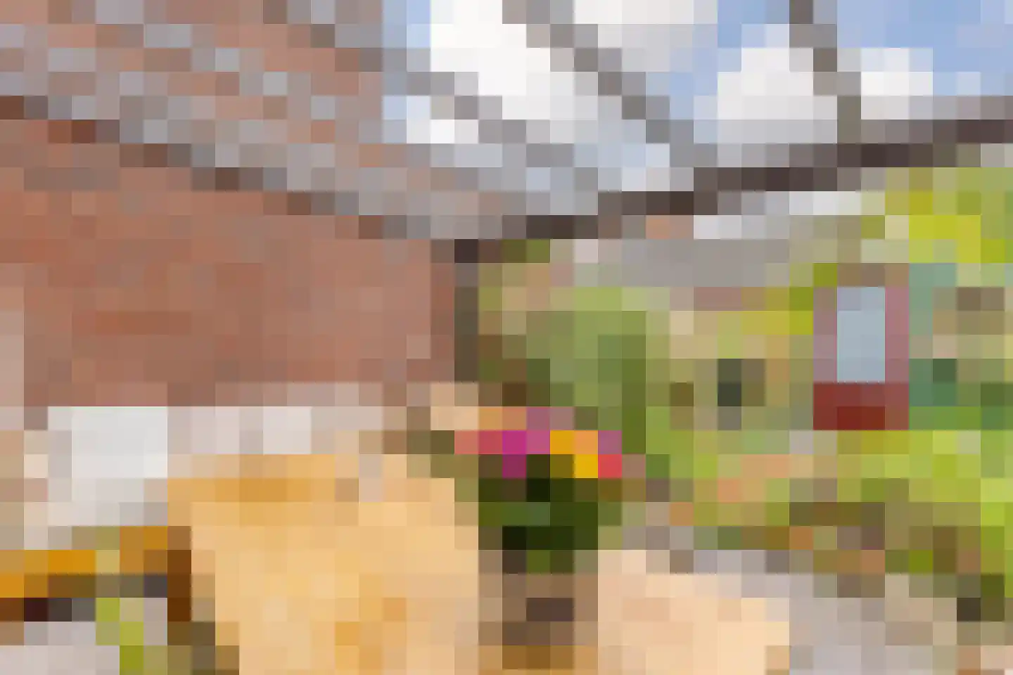 Bloemstraat 20 Zaandam thumbnail 12