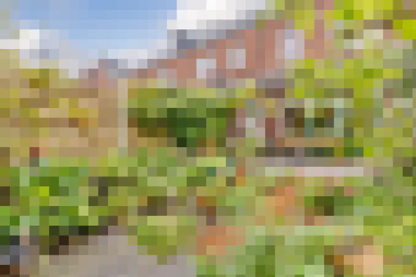 Bloemstraat 20 Zaandam thumbnail 14