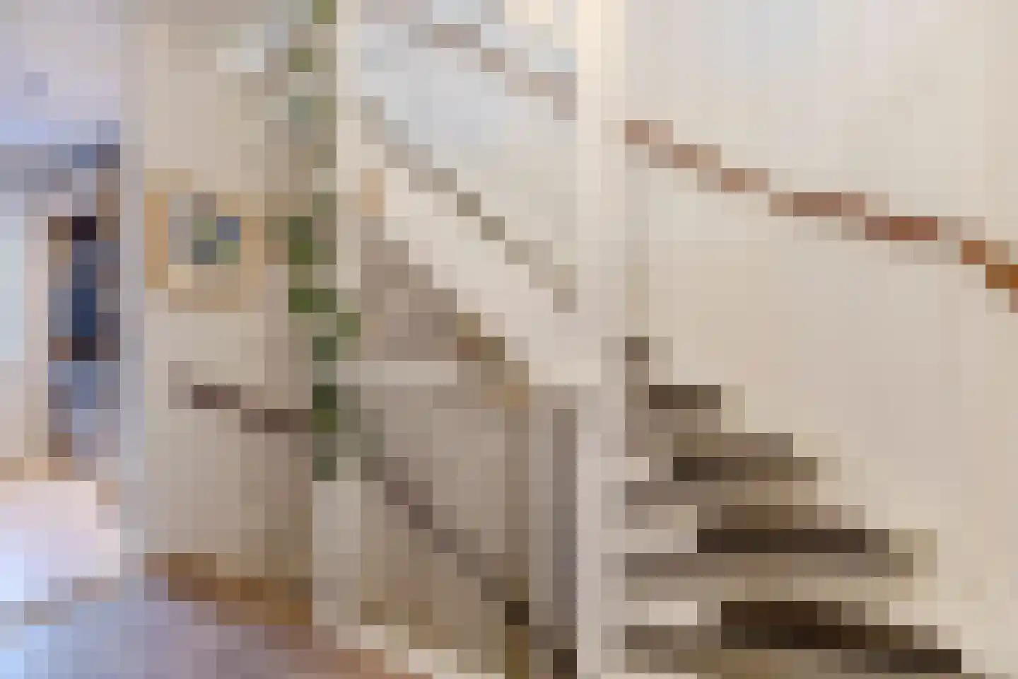 Bloemstraat 20 Zaandam thumbnail 16