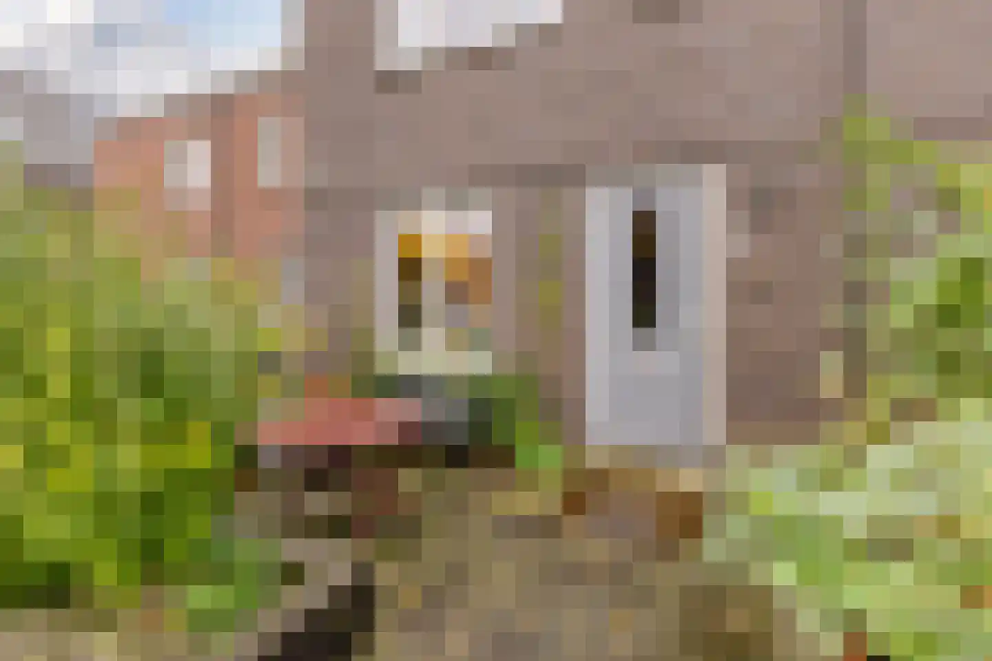 Bloemstraat 20 Zaandam thumbnail 4