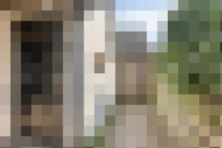 Bloemstraat 21 Deventer thumbnail 31