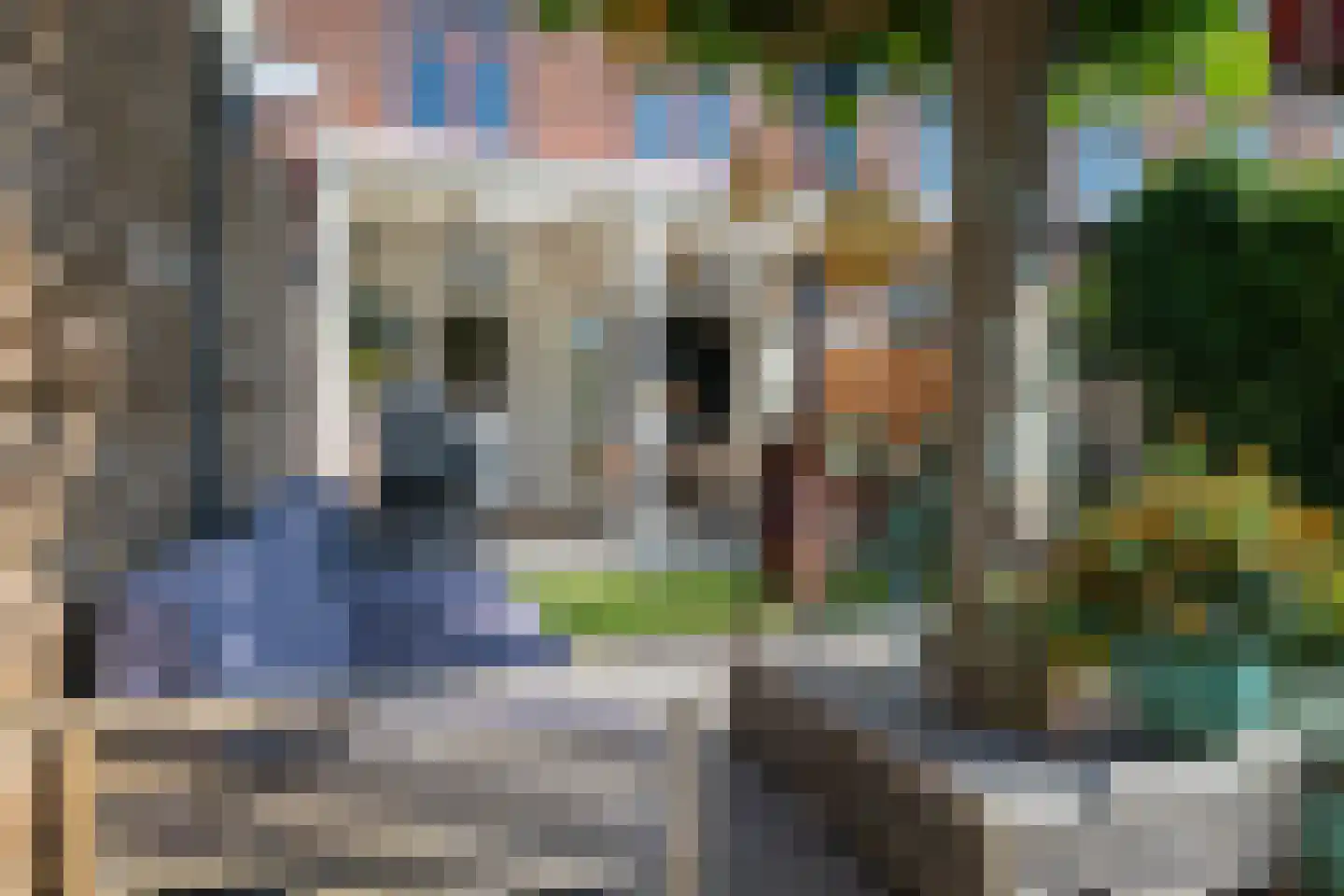 Bloemstraat 23 Deventer thumbnail 19