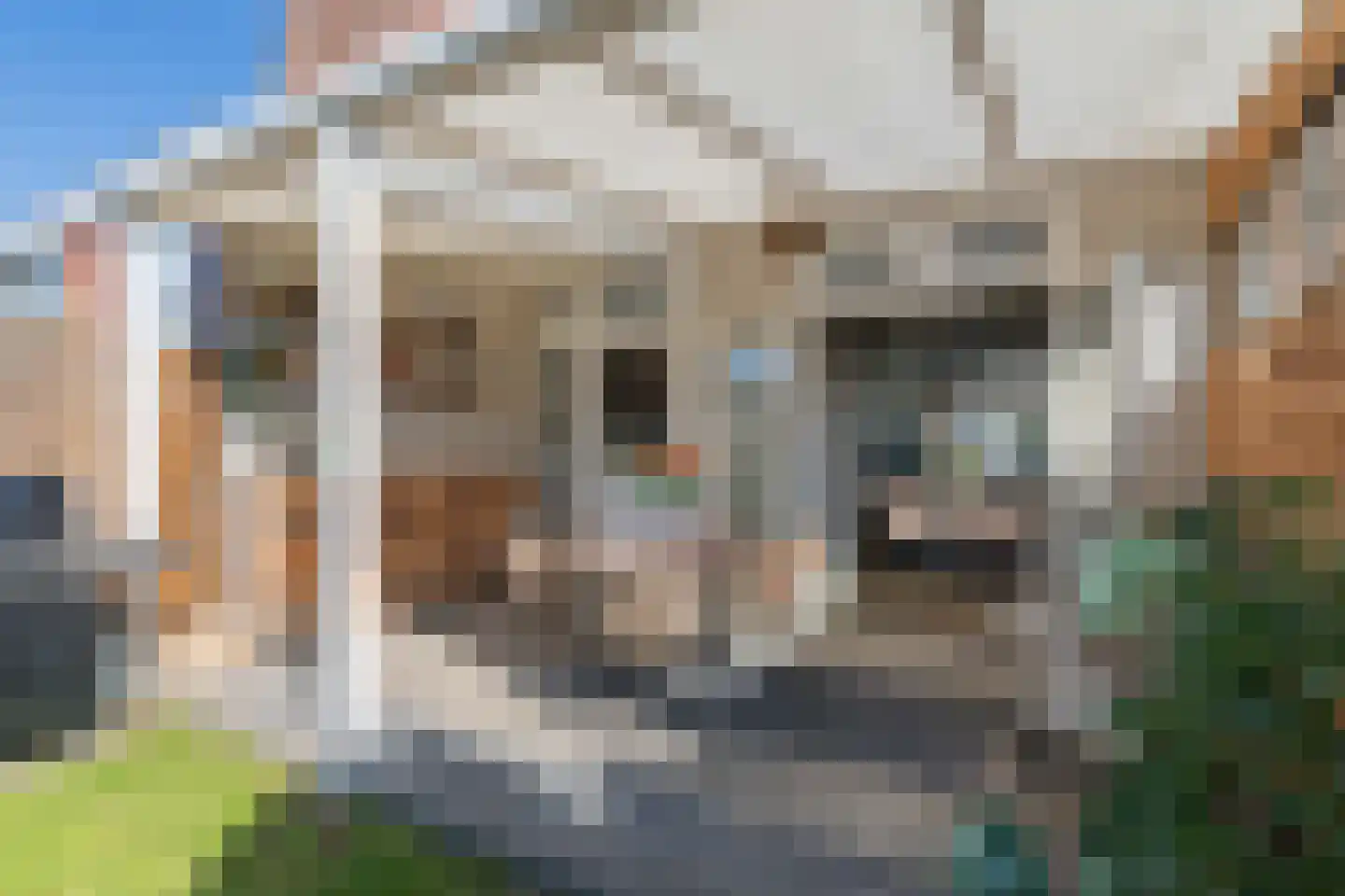 Bloemstraat 23 Deventer thumbnail 21