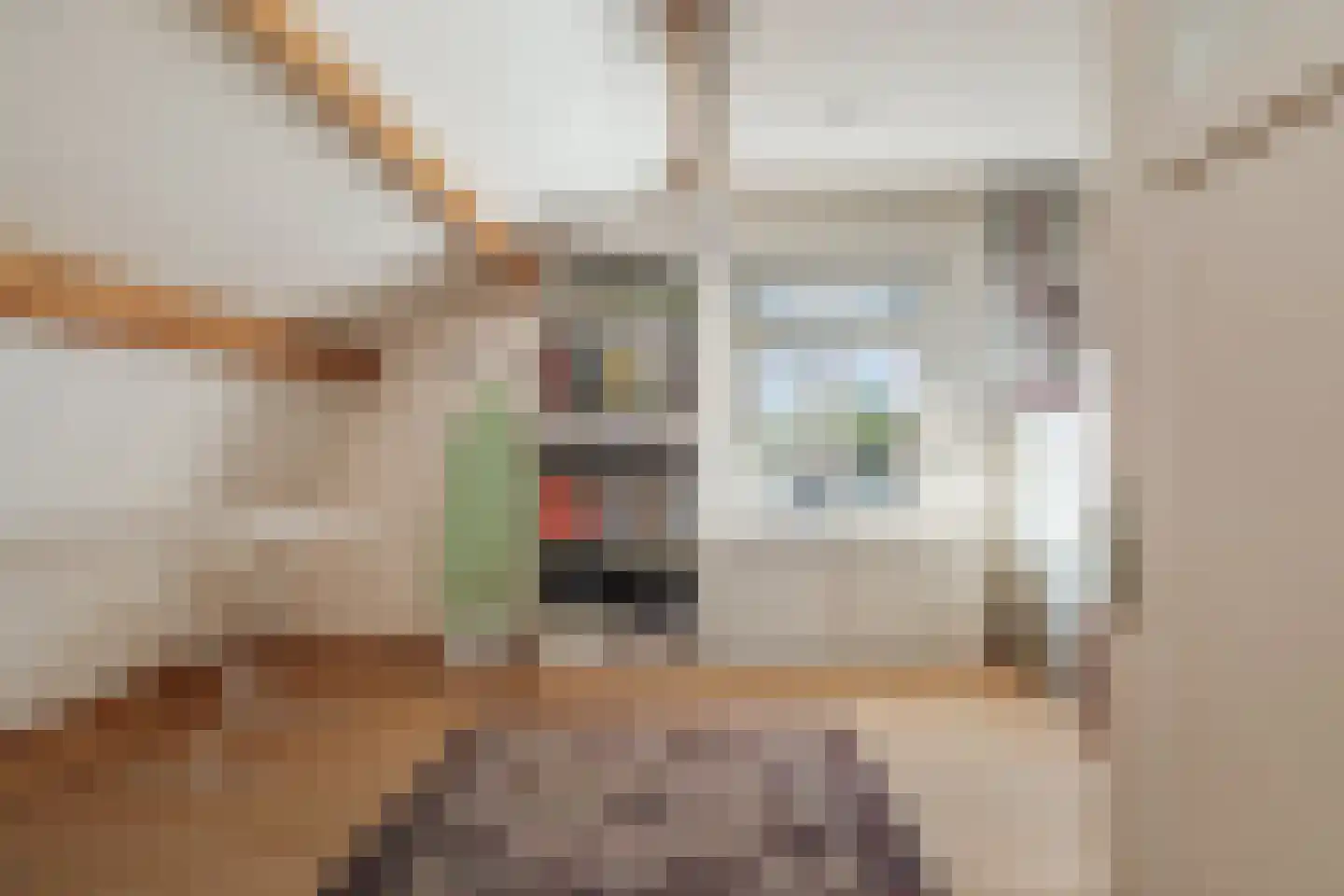 Bloemstraat 23 Deventer thumbnail 33