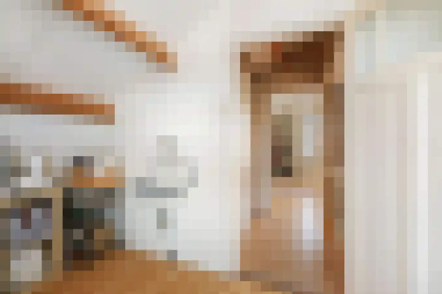 Bloemstraat 23 Deventer thumbnail 37