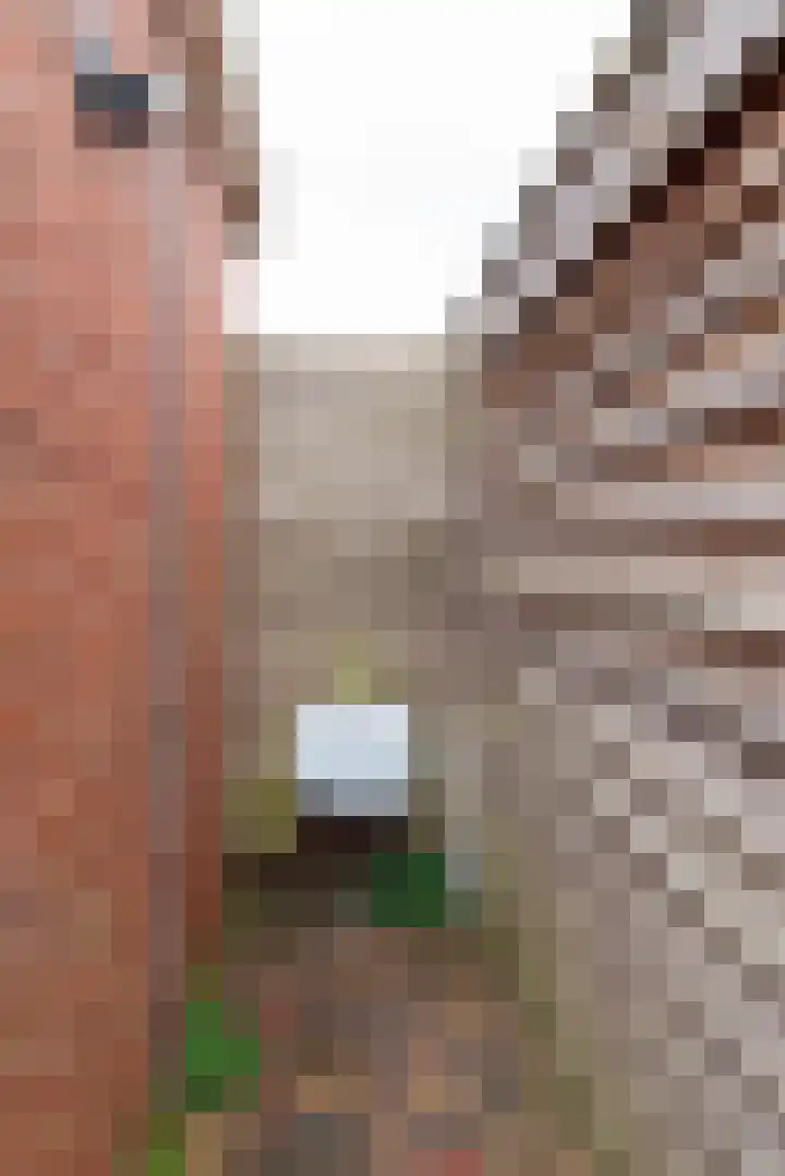 Bloemstraat 25 Rijssen thumbnail 41