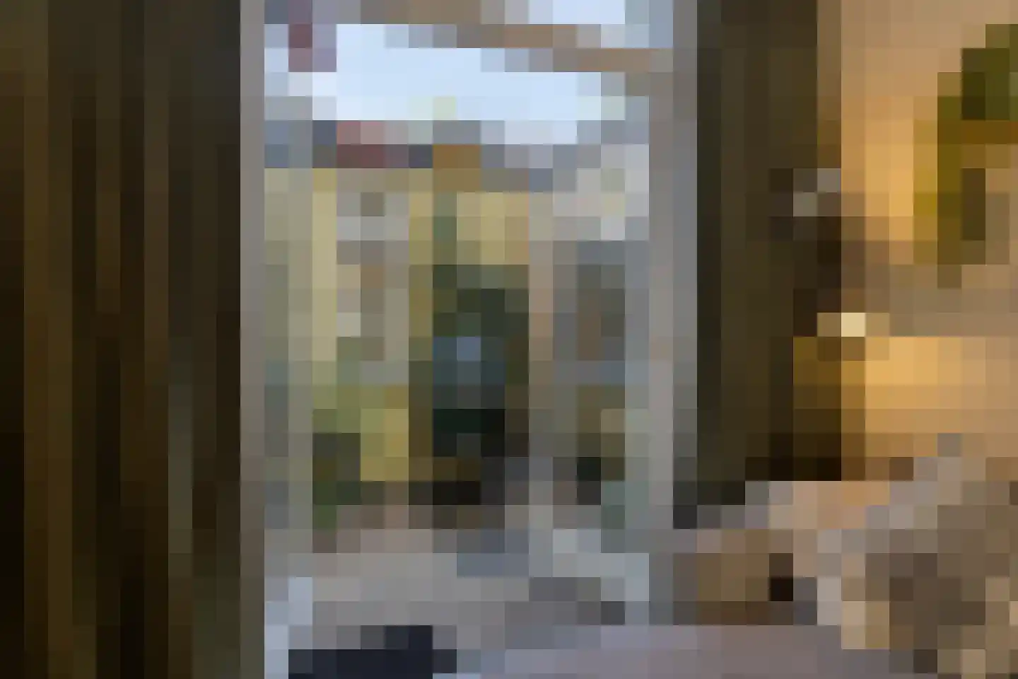 Bloemstraat 26 Leiden thumbnail 8