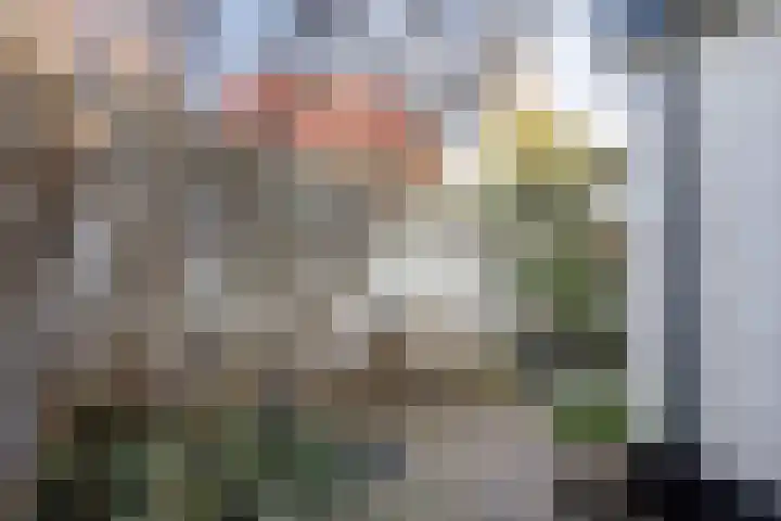 Bloemstraat 28 Hilversum thumbnail 28