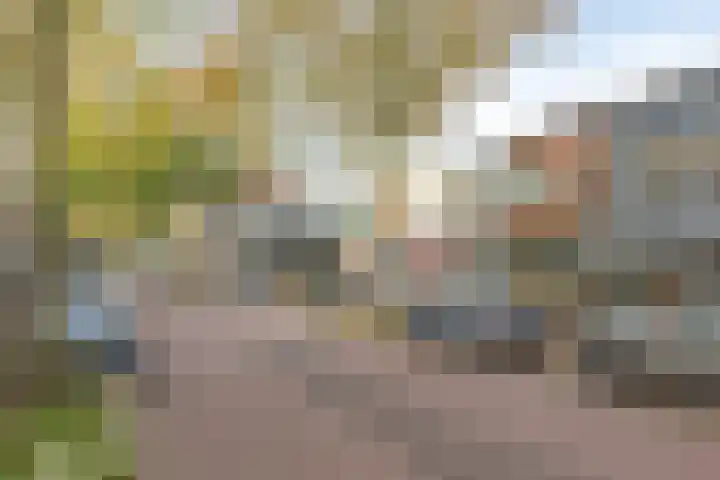 Bloemstraat 28 Hilversum thumbnail 35