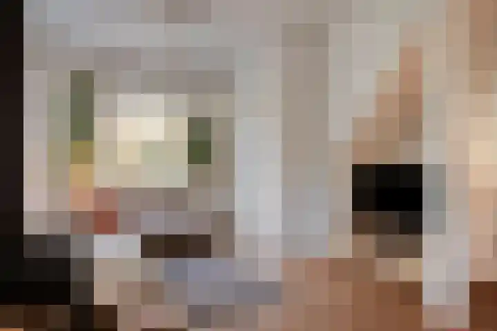 Bloemstraat 28 Hilversum thumbnail 6
