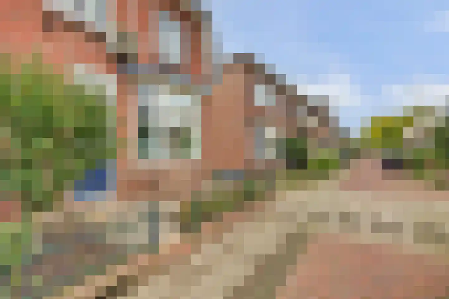 Bloemstraat 29 Deventer thumbnail 4