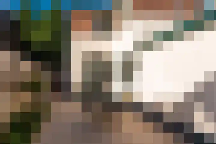 Bloemstraat 3 Hilversum thumbnail 15