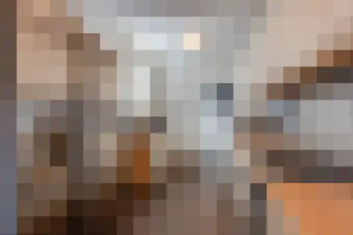 Bloemstraat 3 Hilversum thumbnail 18