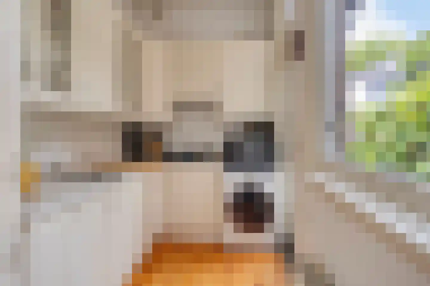 Bloemstraat 3 Utrecht thumbnail 16