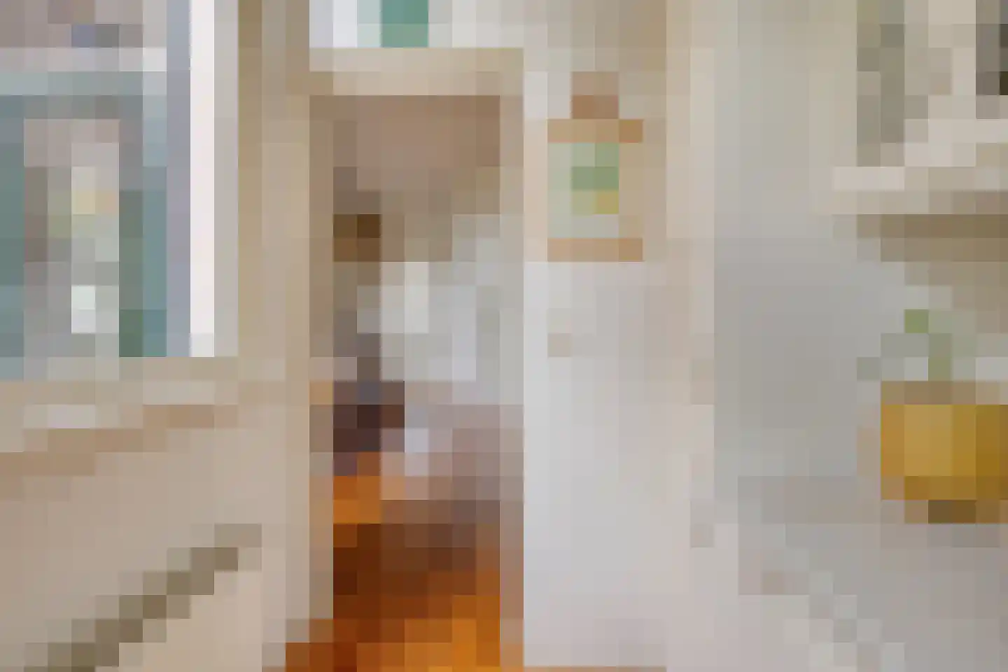 Bloemstraat 3 Utrecht thumbnail 18