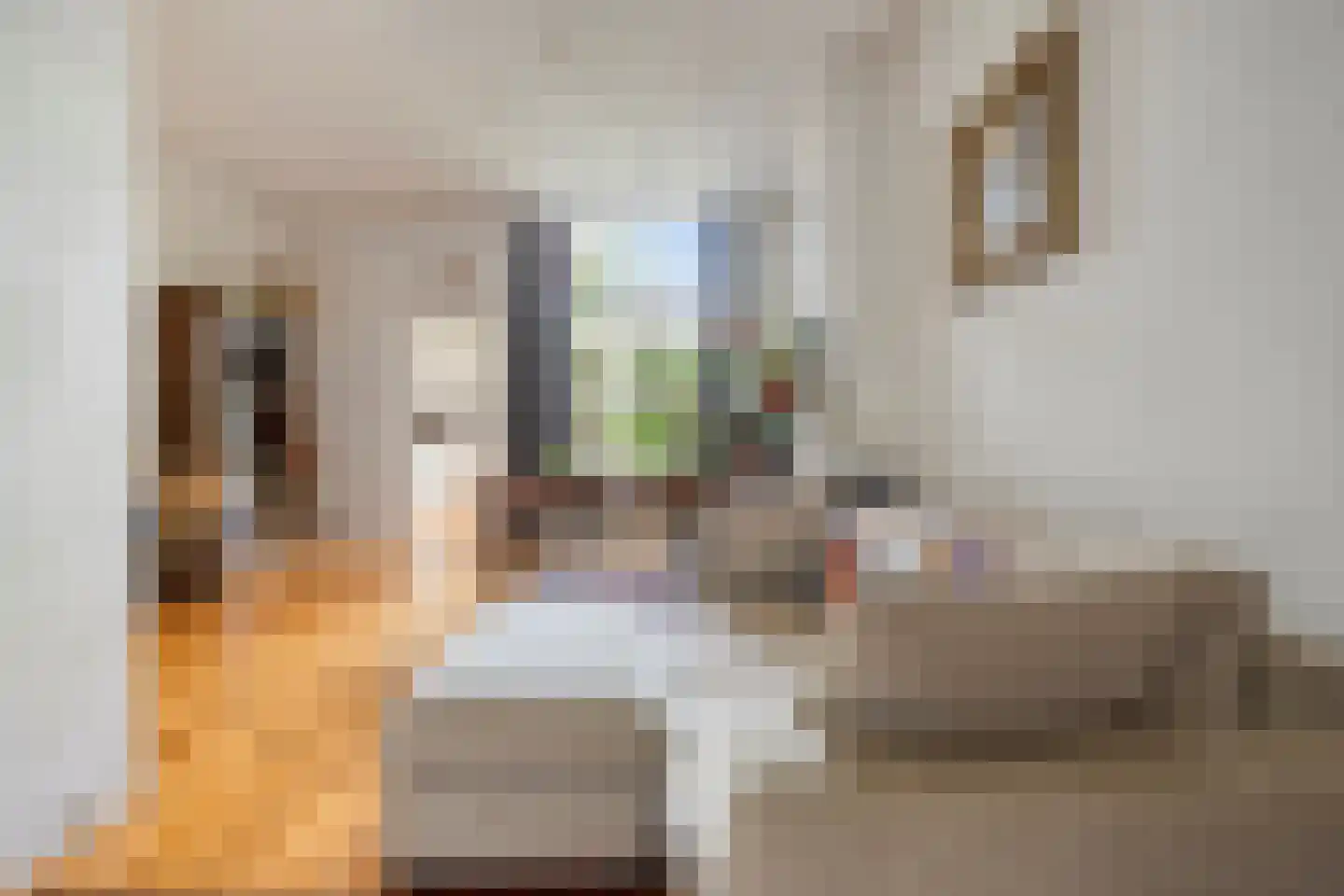 Bloemstraat 3 Utrecht thumbnail 8