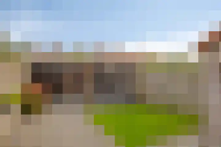 Bloemstraat 31 IJsselmuiden thumbnail 4