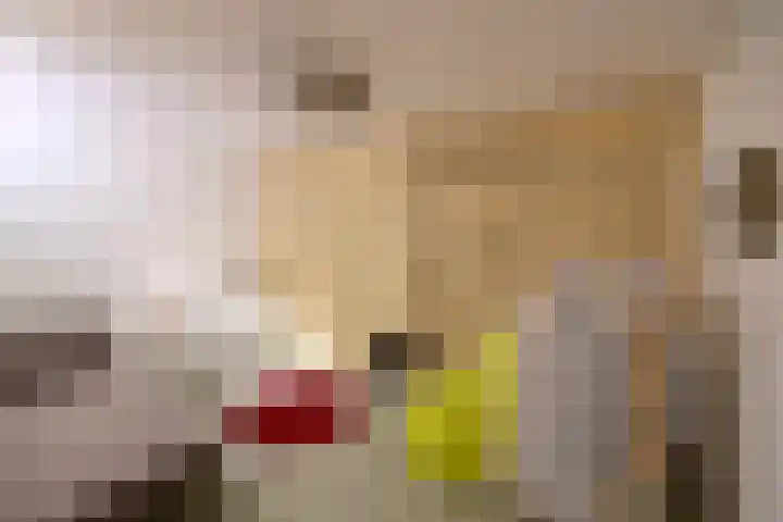 Bloemstraat 32 E Hilversum thumbnail 11
