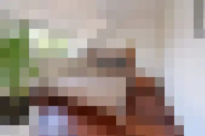Bloemstraat 32 E Hilversum thumbnail 9