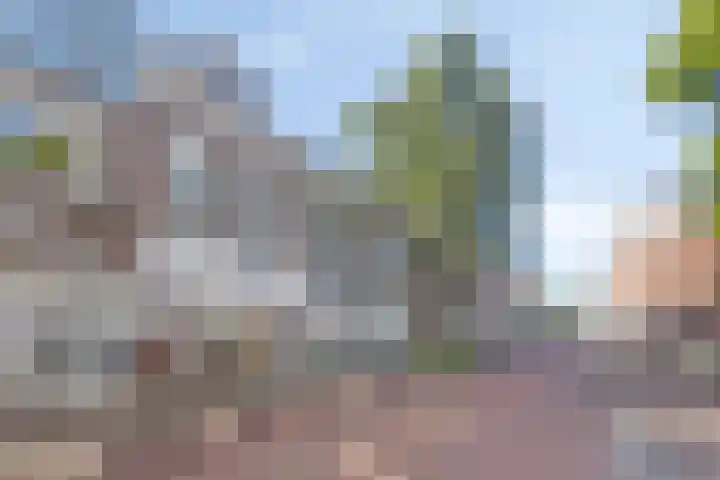Bloemstraat 35 a Groningen thumbnail 36