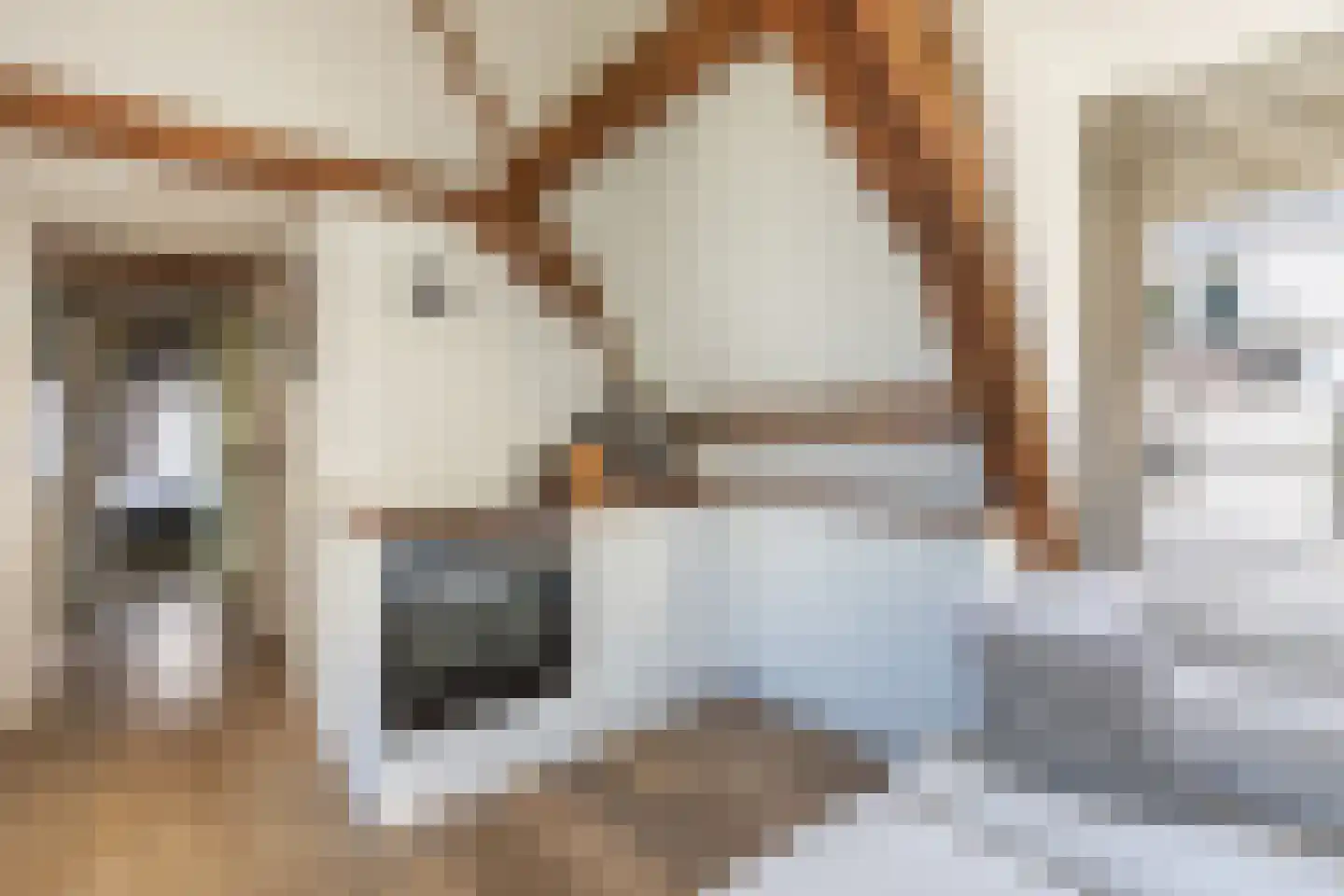 Bloemstraat 36 D Amsterdam thumbnail 12