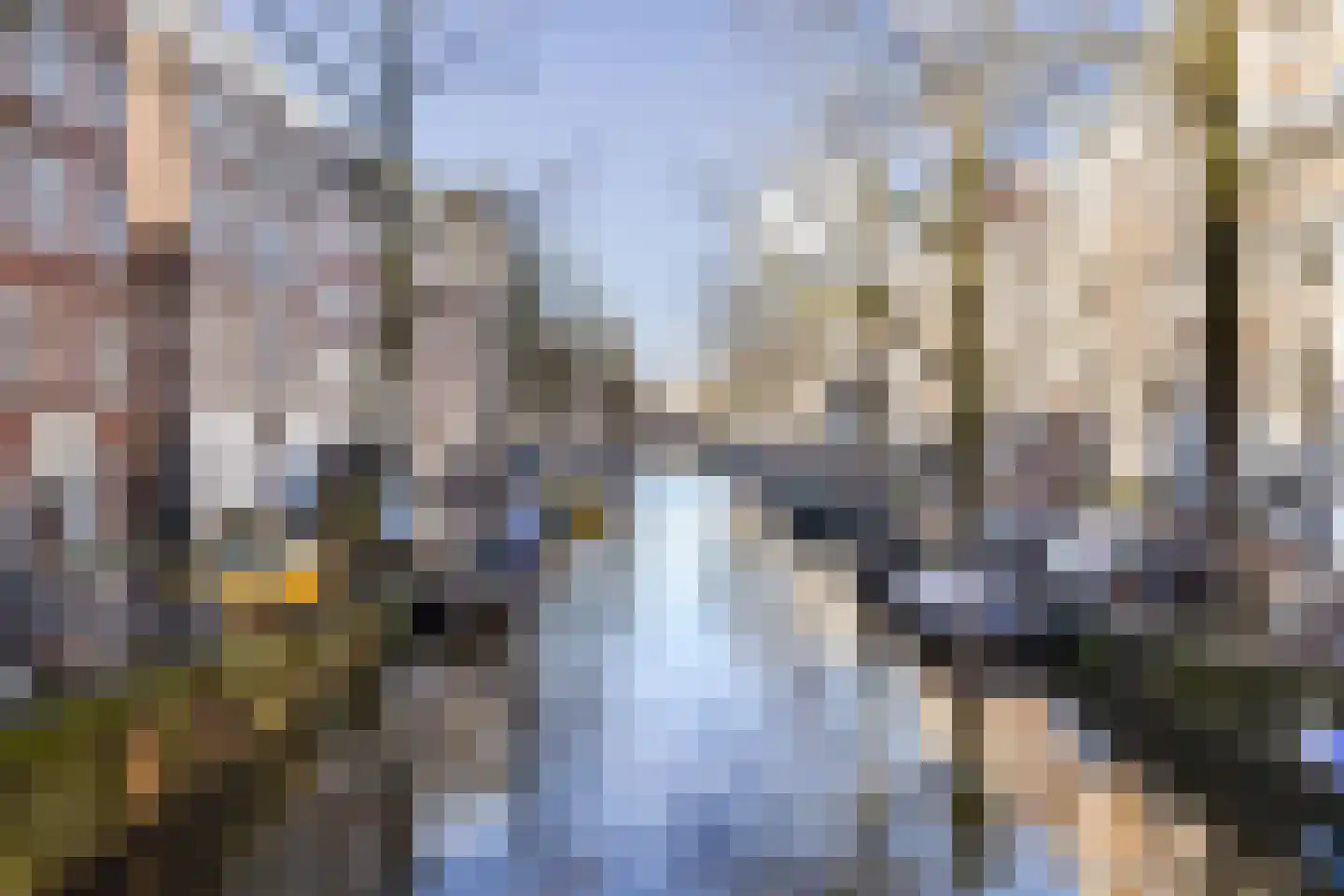 Bloemstraat 36 G Amsterdam thumbnail 18