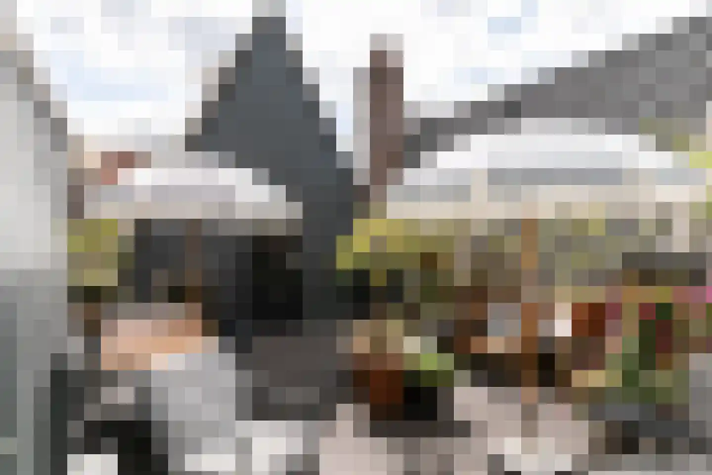 Bloemstraat 40 Amsterdam thumbnail 31