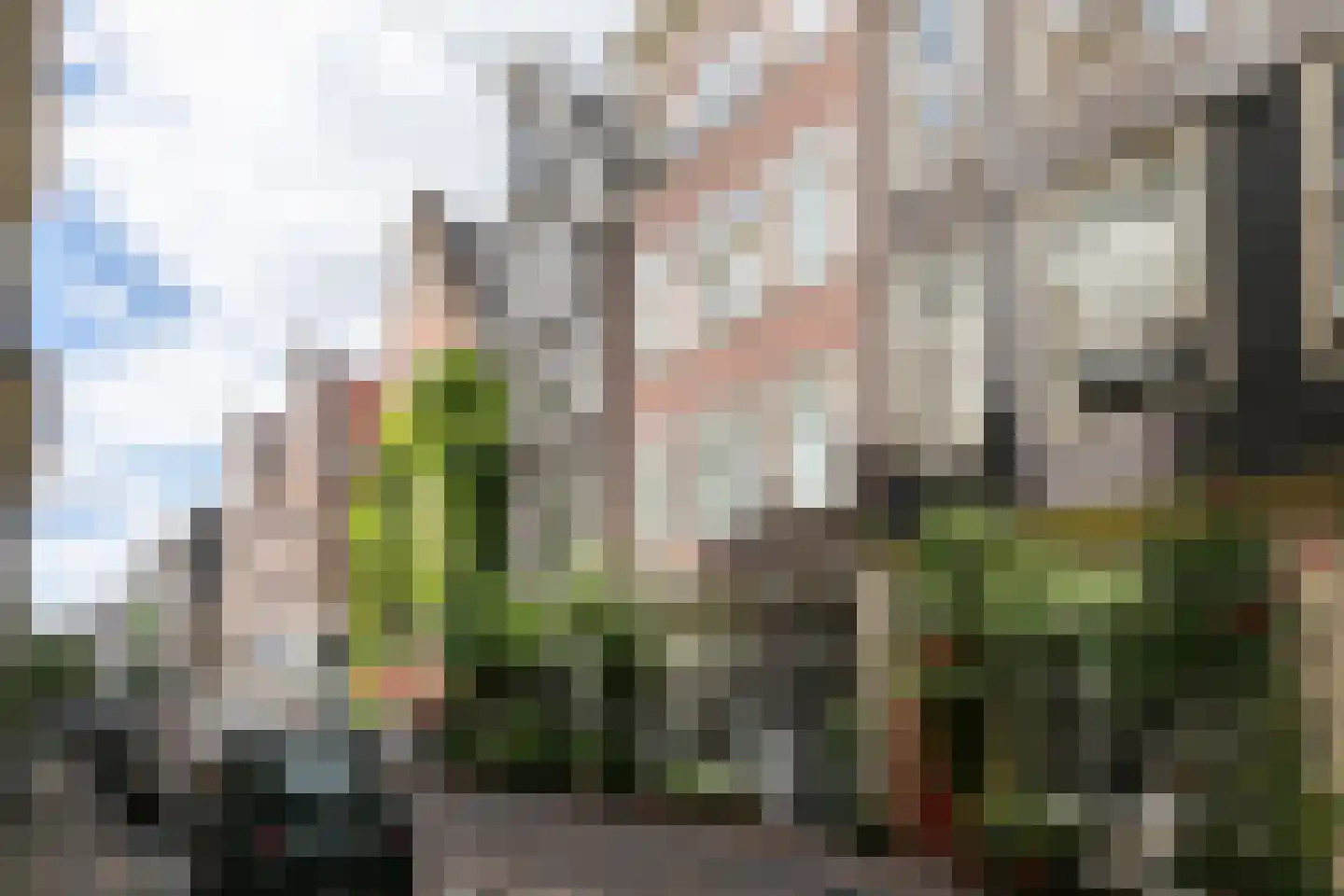Bloemstraat 40 Amsterdam thumbnail 35