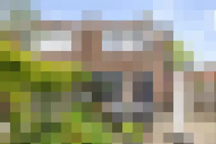 Bloemstraat 40 Deventer thumbnail 25