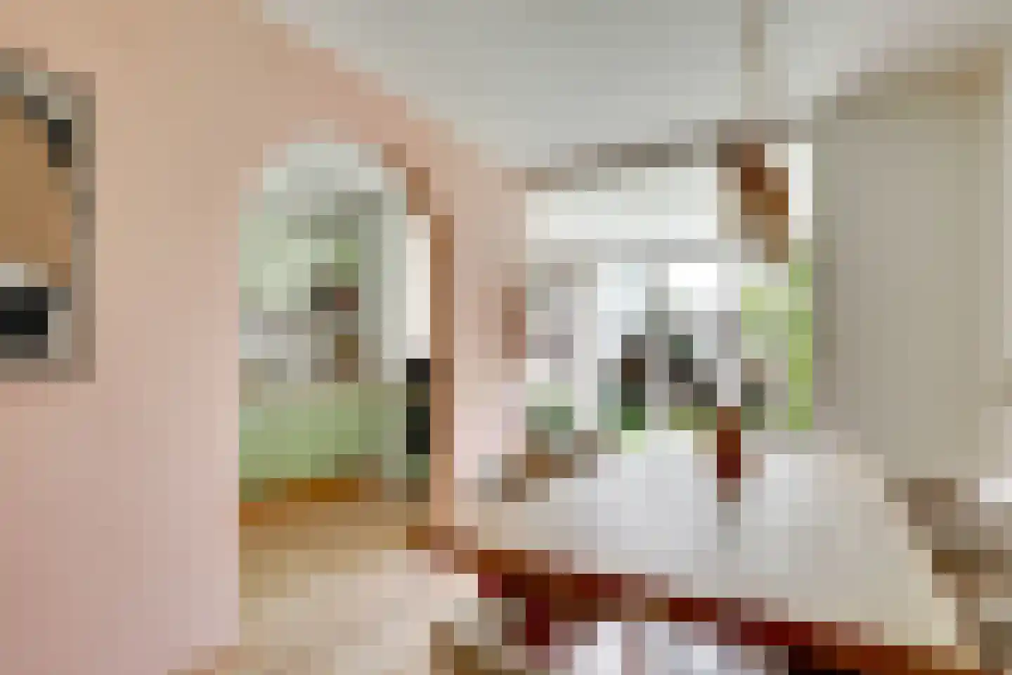 Bloemstraat 5 Utrecht thumbnail 13
