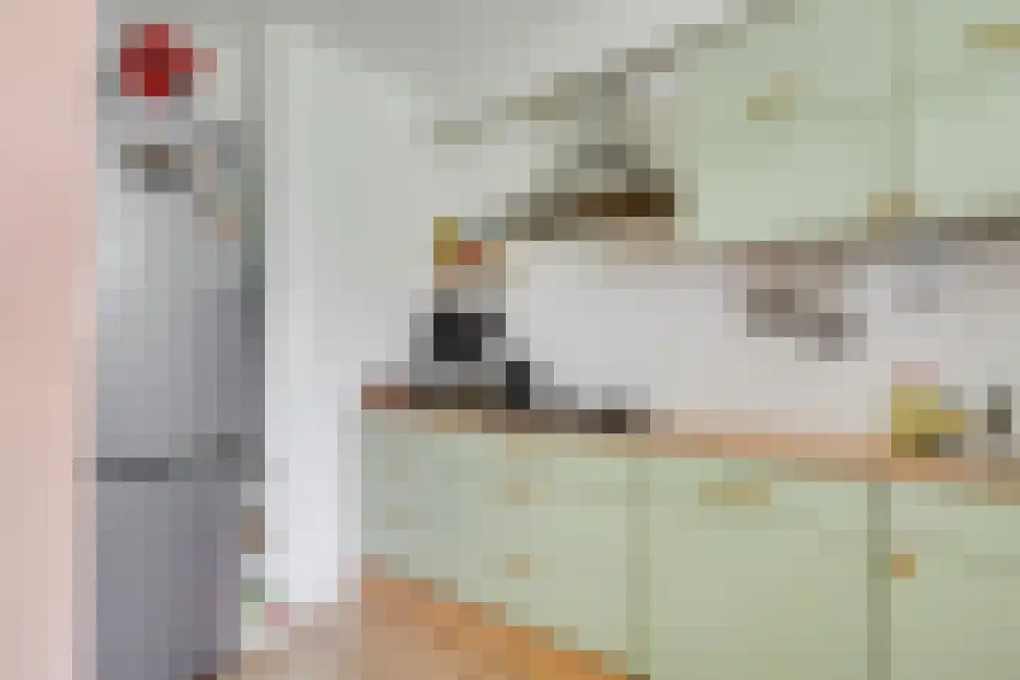 Bloemstraat 5 Utrecht thumbnail 18