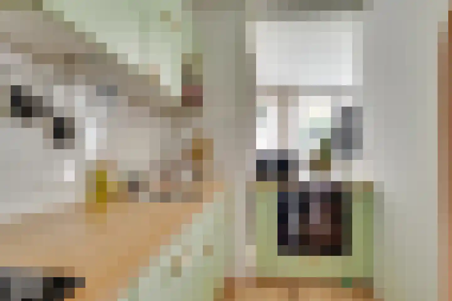 Bloemstraat 5 Utrecht thumbnail 20