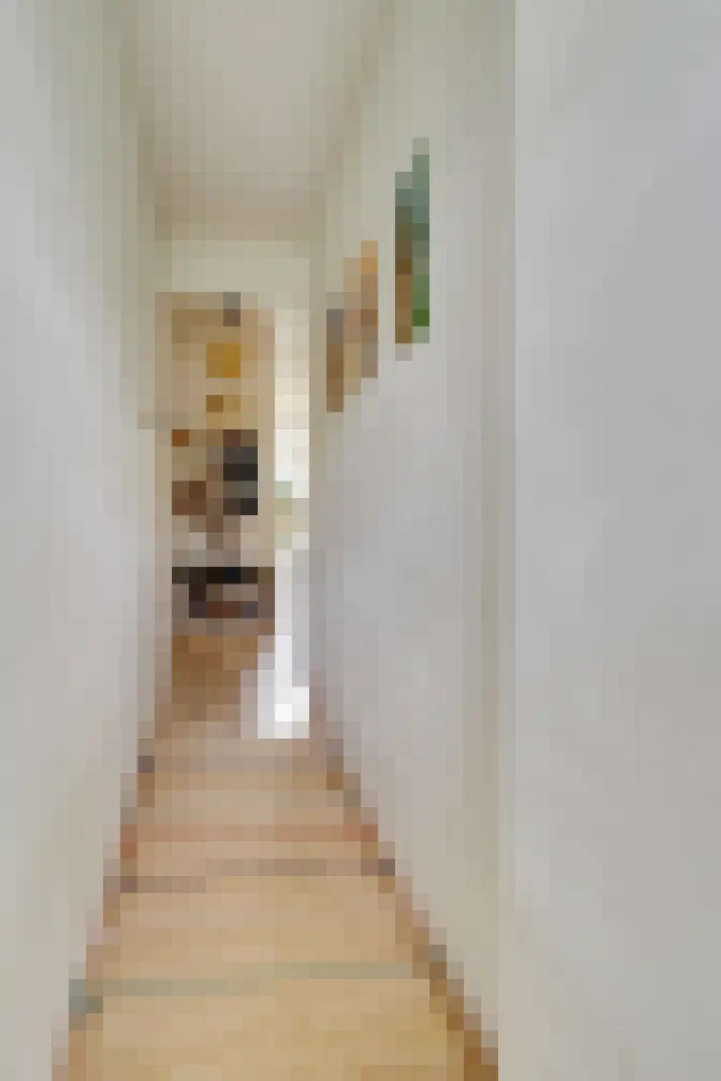 Bloemstraat 5 Utrecht thumbnail 24