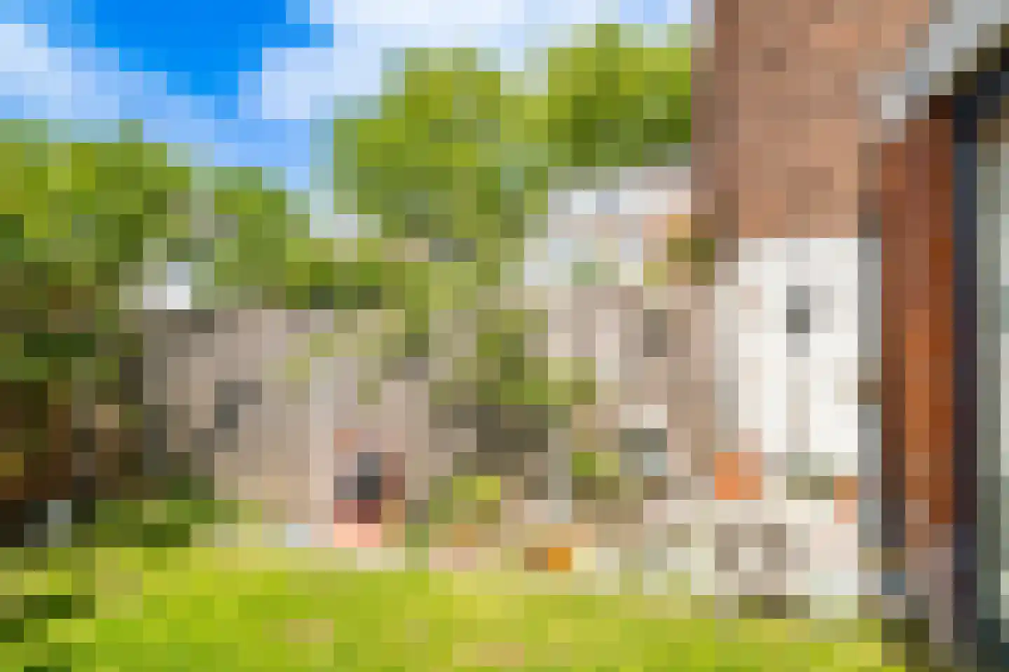 Bloemstraat 5 Utrecht thumbnail 28