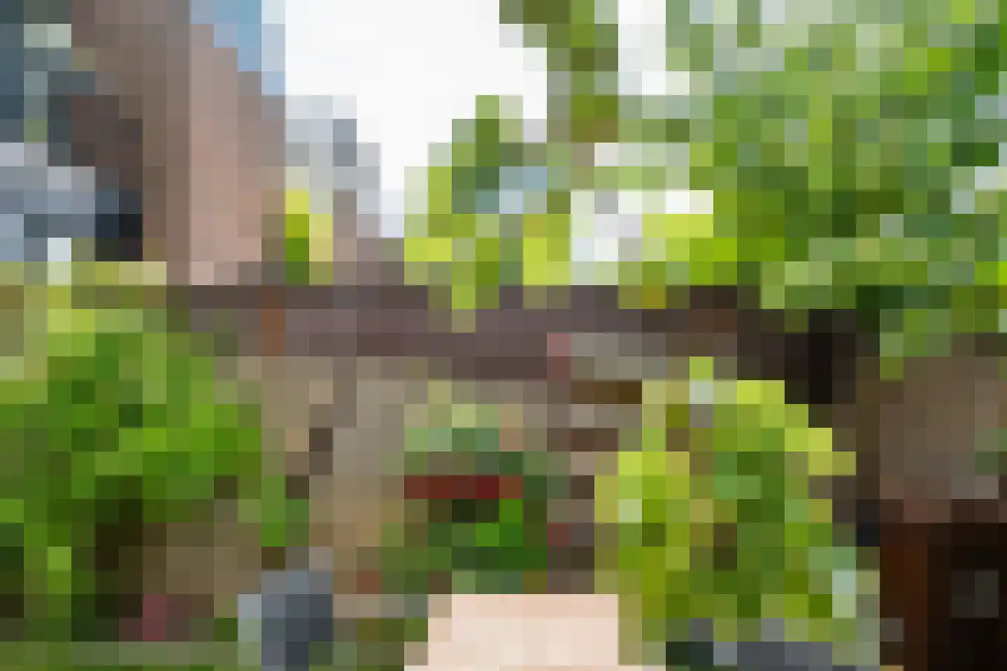 Bloemstraat 5 Utrecht thumbnail 31