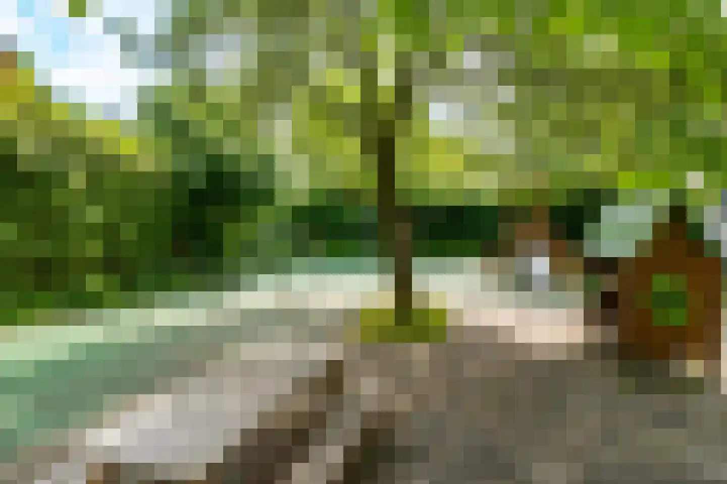 Bloemstraat 5 Utrecht thumbnail 36