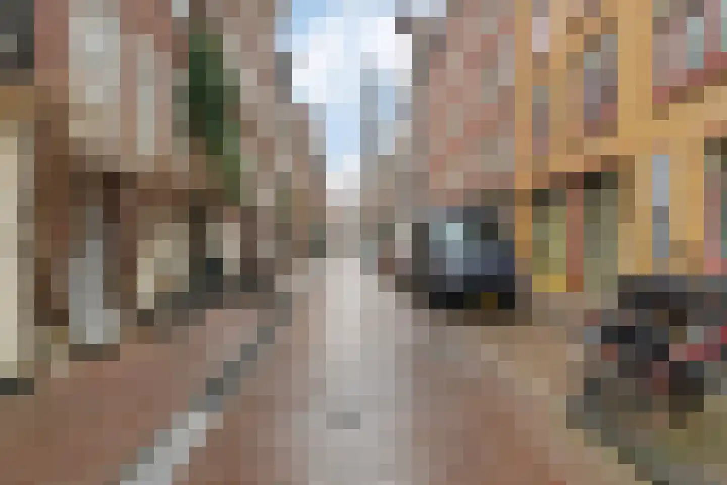 Bloemstraat 51 C Amsterdam thumbnail 29