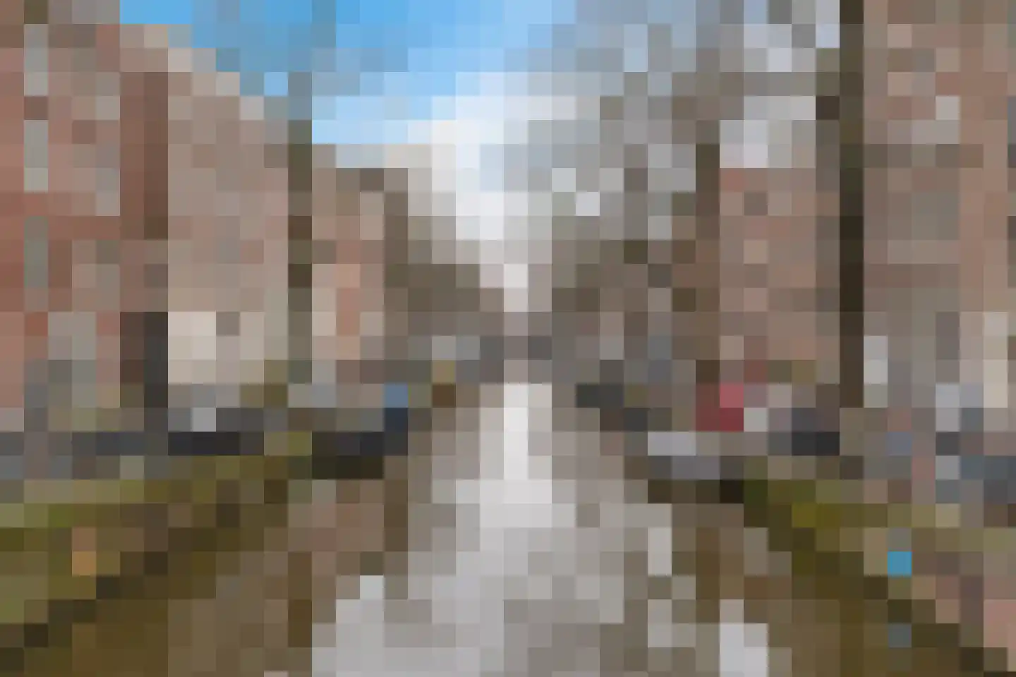 Bloemstraat 51 F Amsterdam thumbnail 26
