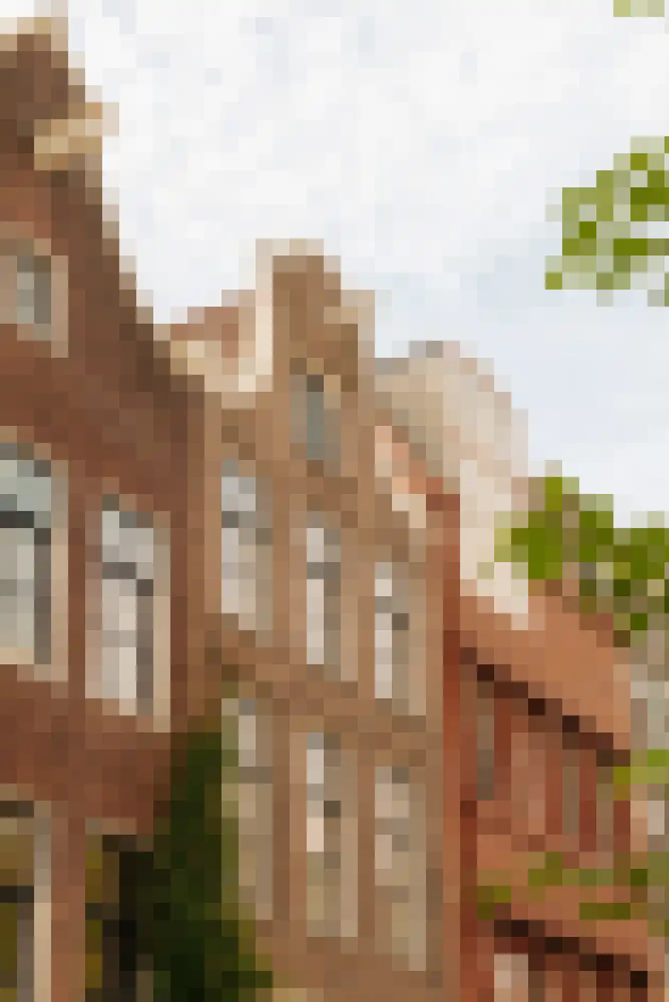 Bloemstraat 65 Amsterdam foto 3