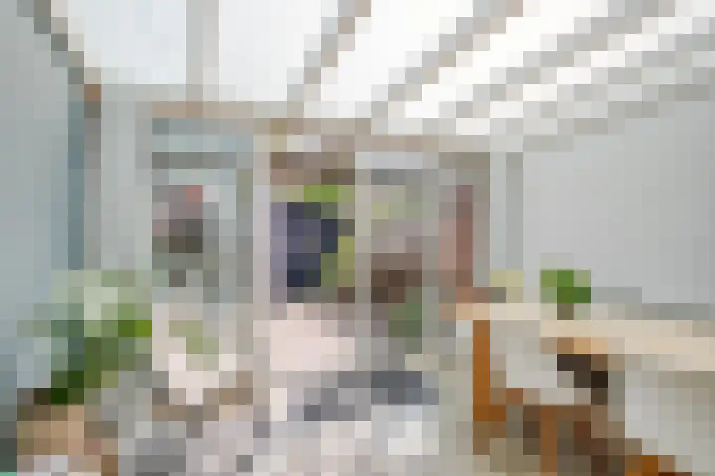 Bloemstraat 67 Deventer thumbnail 18