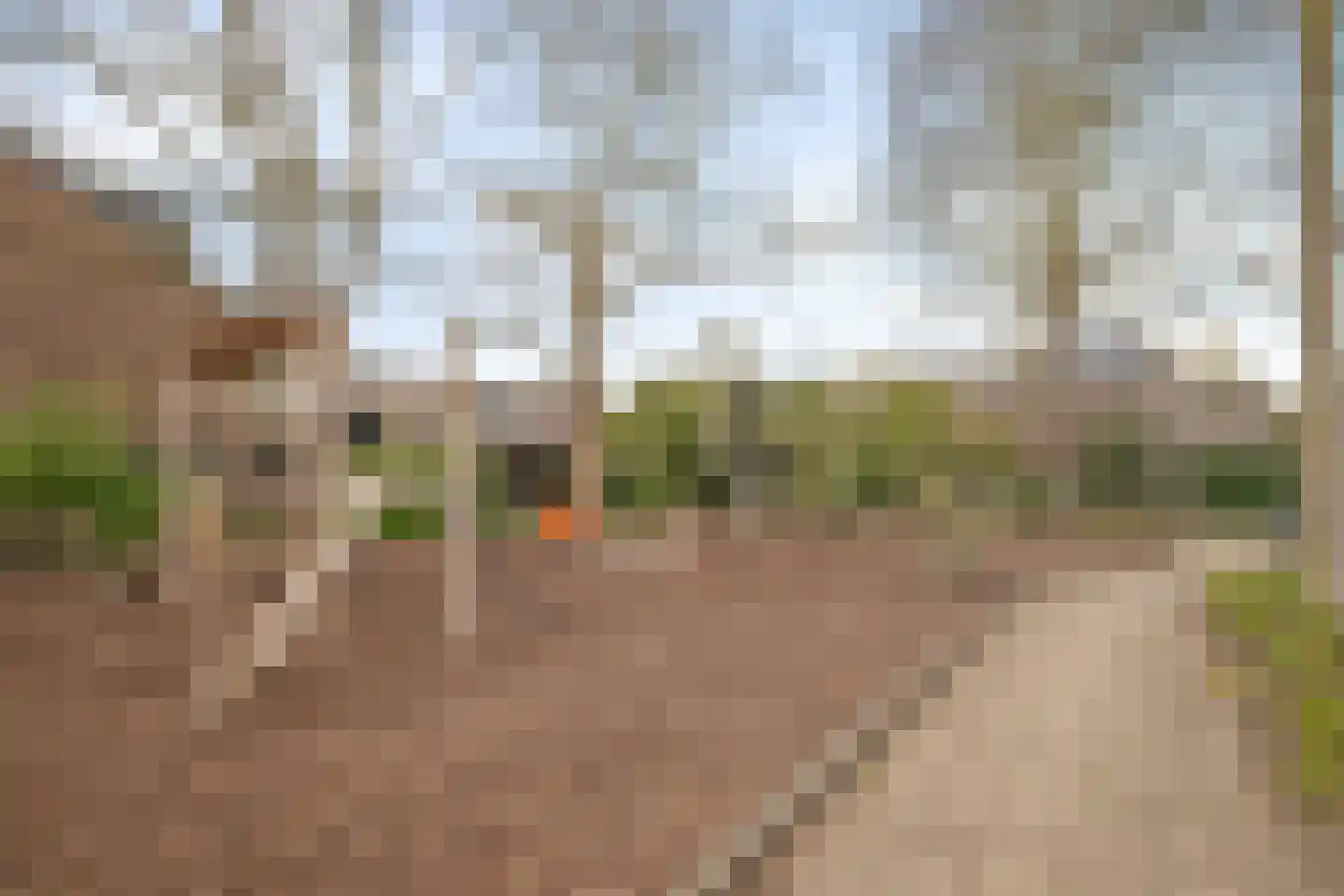 Bloemstraat 67 Deventer thumbnail 50