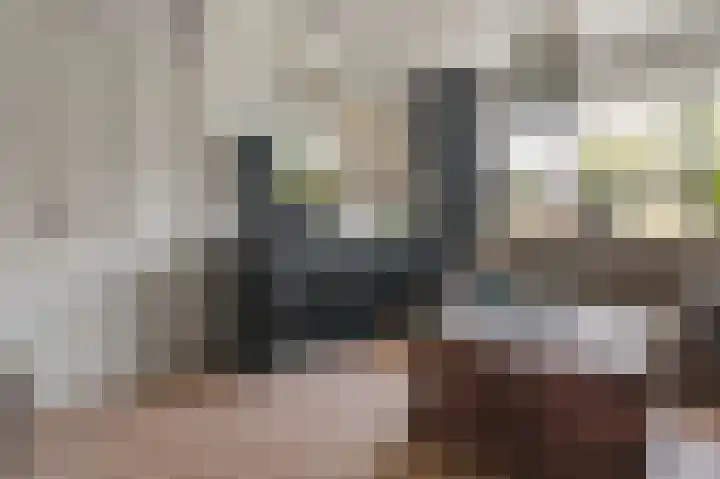 Bloemstraat 7 Ossenzijl thumbnail 12