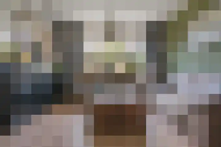 Bloemstraat 7 Ossenzijl thumbnail 13