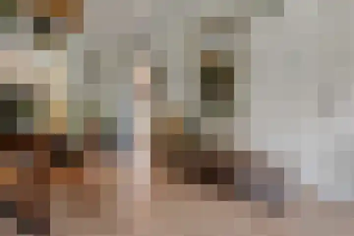 Bloemstraat 7 Ossenzijl thumbnail 15