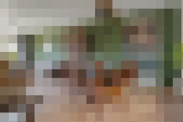 Bloemstraat 7 Ossenzijl thumbnail 17