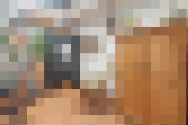 Bloemstraat 7 Ossenzijl thumbnail 22