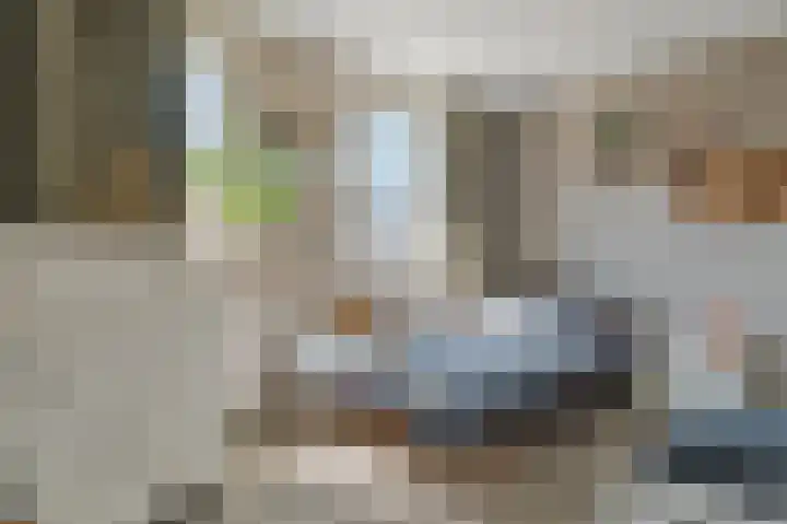 Bloemstraat 7 Ossenzijl thumbnail 33